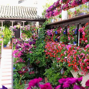 Puerta A La Mezquita Appartement Córdoba